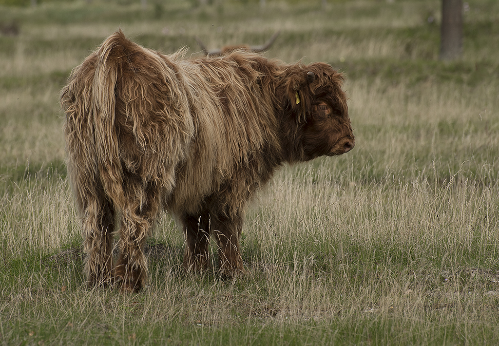 Schleswig Holstein Ostsee 09_2015 KA7_6266 als Smartobjekt-1 Kopie.jpg
